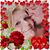 Janice Adkins Bowen's profile image