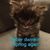 Ellen Kearns Parsons's profile image