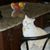 Connie Norfleet's profile image