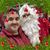 David Hammond's profile image