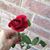 Gafford-Quintana Sandra's profile image