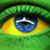 Roberto Junqueira Meirelles Trez's profile image