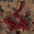 Salam Ya Hussain's profile image