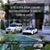 Fernando Ranfery Estefan Flores's profile image