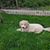 Kathie Fanning's profile image