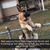 Stephanie Pevehouse's profile image