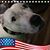 Tonya McCammon Frazier's profile image