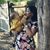 Emy Roman's profile image