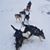 Lisa Jones Tuley's profile image