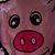 Peter Combe's profile image