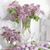 Lois Smith-Weber's profile image