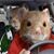 Jeffery Roberts's profile image