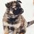 Nancy Thornsbury's profile image