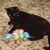 Arlene Parker's profile image