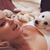 Amanda Corvelle's profile image