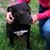 Mandy Young Pyle's profile image