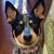 Karen K Reed's profile image
