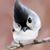 Robin Harriman's profile image