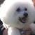 Barbara Mason's profile image