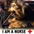 Michele Aniello's profile image