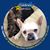 Angela Colby's profile image