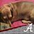 Leisa Lee's profile image