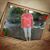 Shelia Williams's profile image