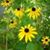 Penney Hagen's profile image