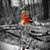 Marci Mack's profile image