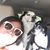 Jenny De LaPaz's profile image