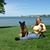 Sharon Loh Knowles's profile image