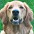 Lynn Gorsuch's profile image