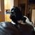 Ron Van Hess's profile image