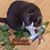 Janet Anderson's profile image