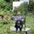 Roselle A Jarosz's profile image