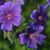 Judie Wiersma's profile image