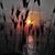 Sally Molenkamp's profile image
