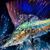 Sandy Green's profile image