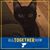 Donna Herron Abbenhaus's profile image