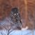 Seth Wollney's profile image