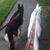Christine Shackleton's profile image