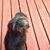 Kathy Zill's profile image