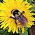 Heather French's profile image