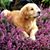 Debbie Cartwright Merritt's profile image