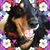 Pam Rank's profile image