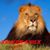 Raheem Shiek's profile image