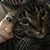 Jozi Qamar Longley's profile image