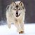 Sheri Malmin's profile image