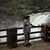 Alan Pulliam's profile image