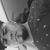Guaino Olvera's profile image
